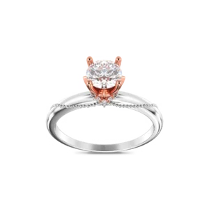 ndino327movt2 1731916680