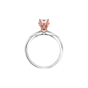 ndino327movt4 1731916680